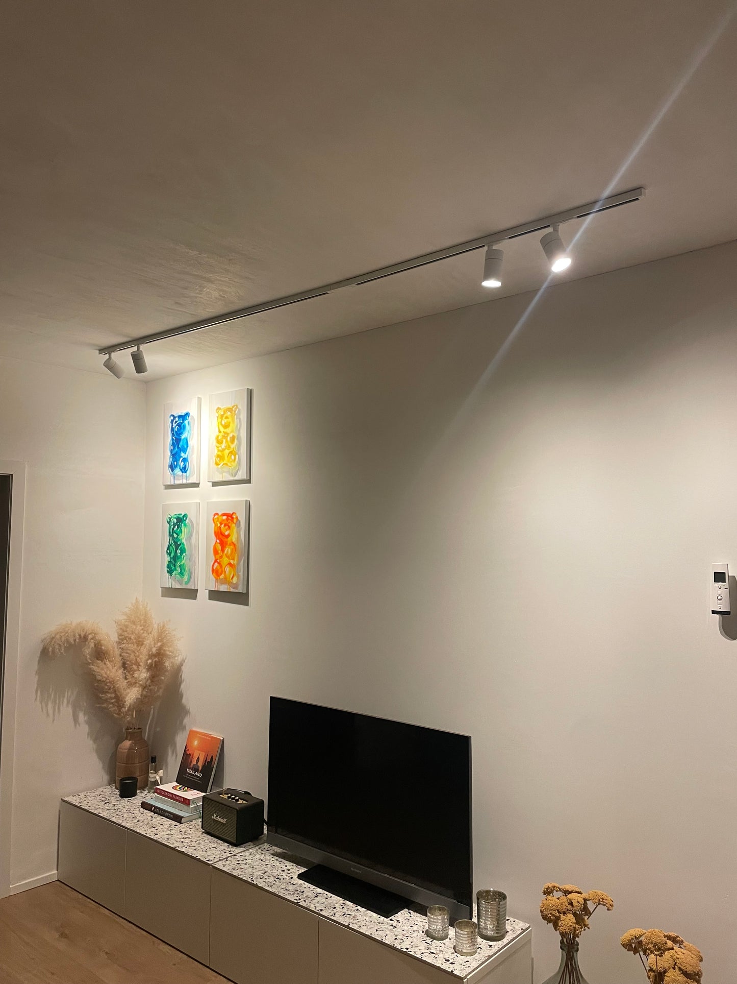 Railverlichting set voor in de woonkamer met minimalistische railspots