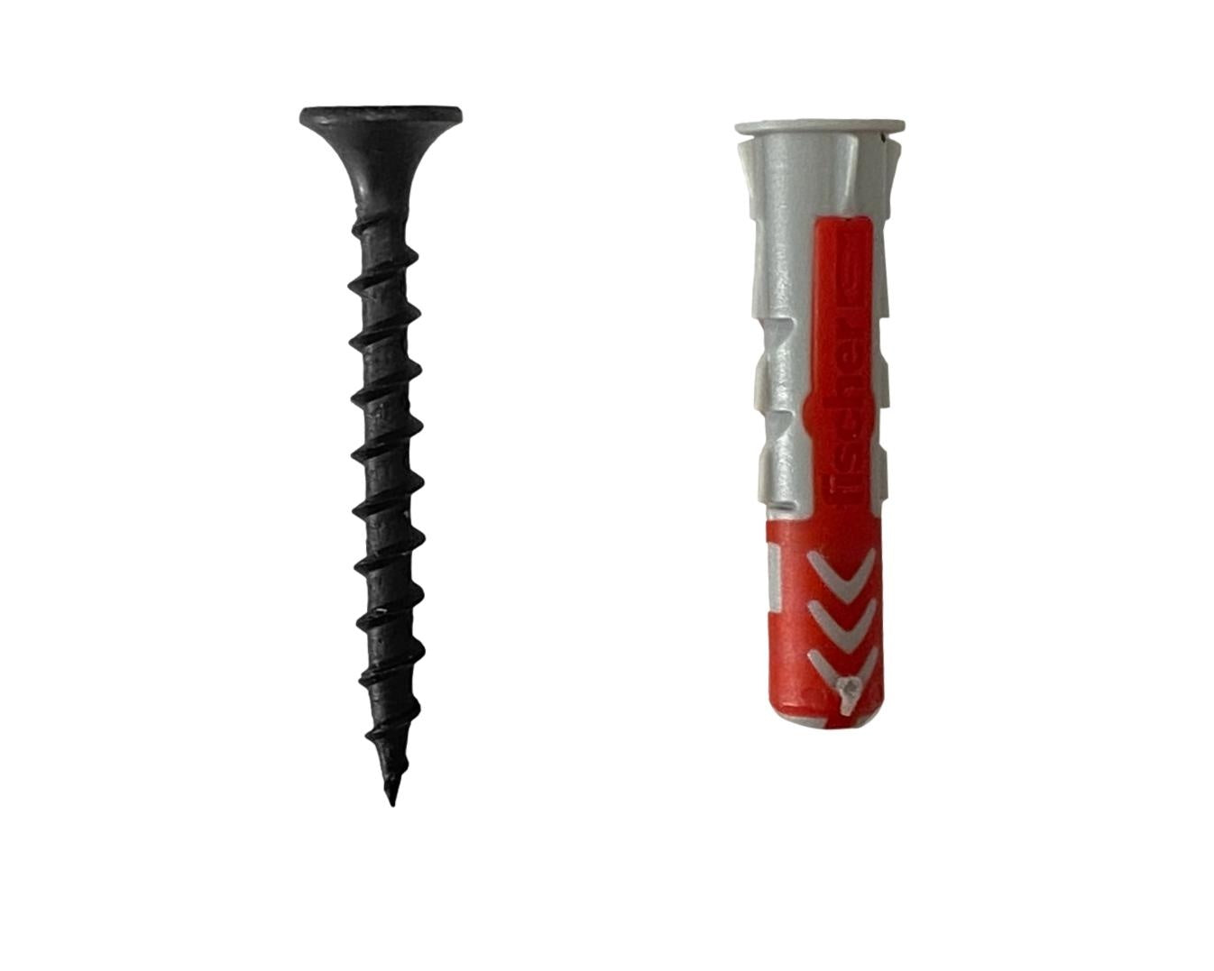 Set 10x zwarte schroef met plug