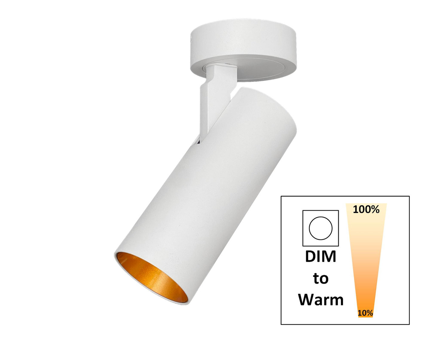 Opbouwspot SLIMM-50 wit/goud