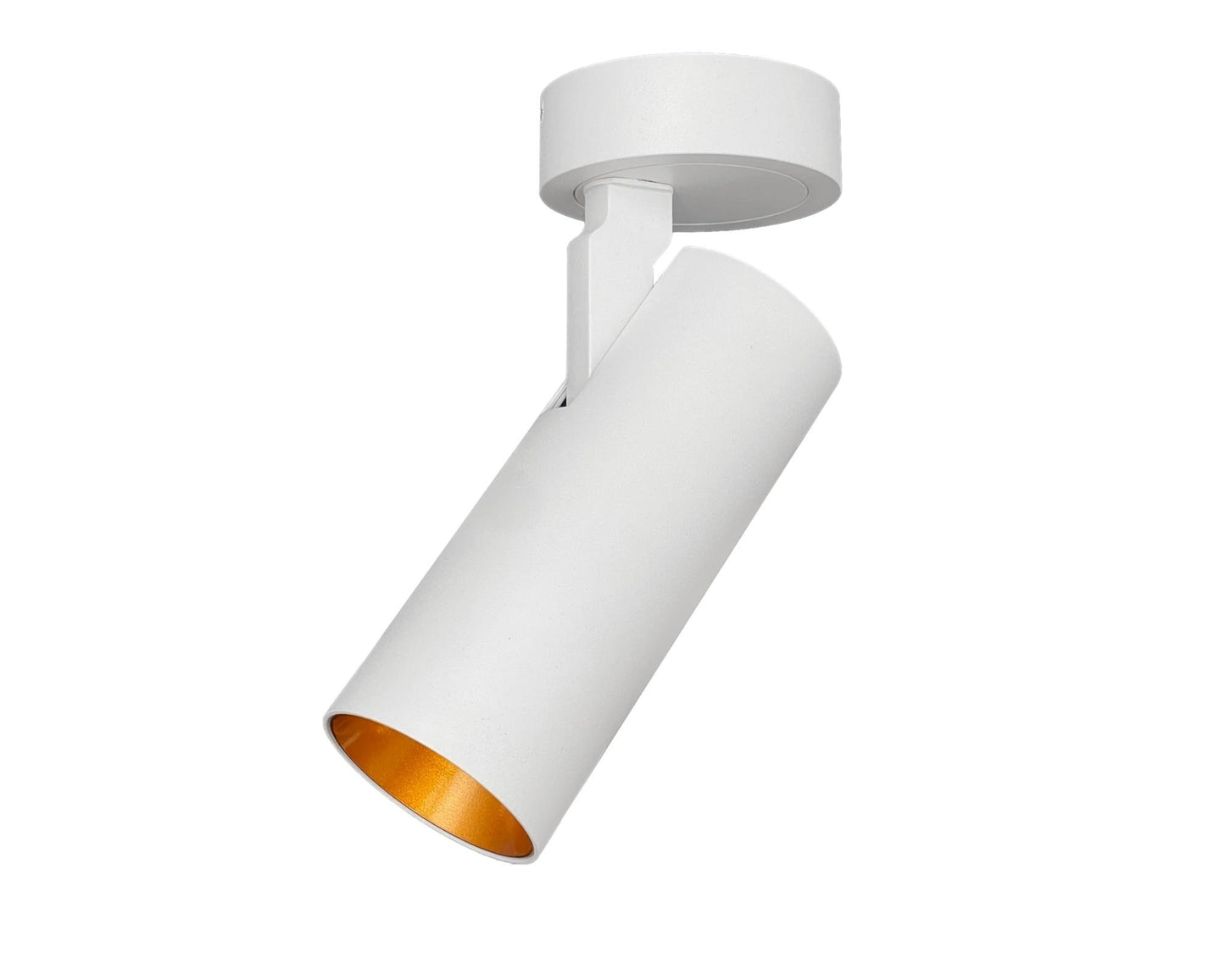 Opbouwspot SLIMM-50 wit/goud