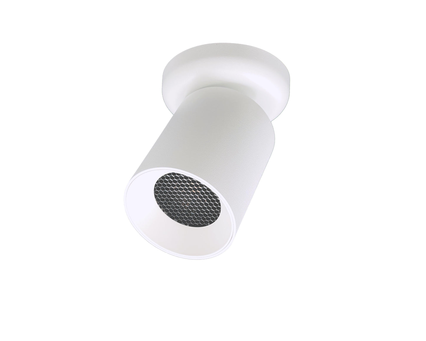 witte plafondspots GU10 fitting