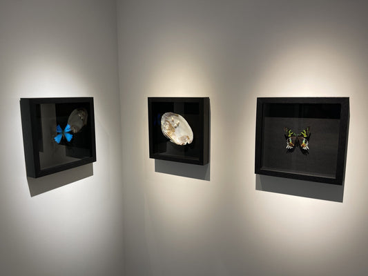 kunst uitlichten - gericht licht