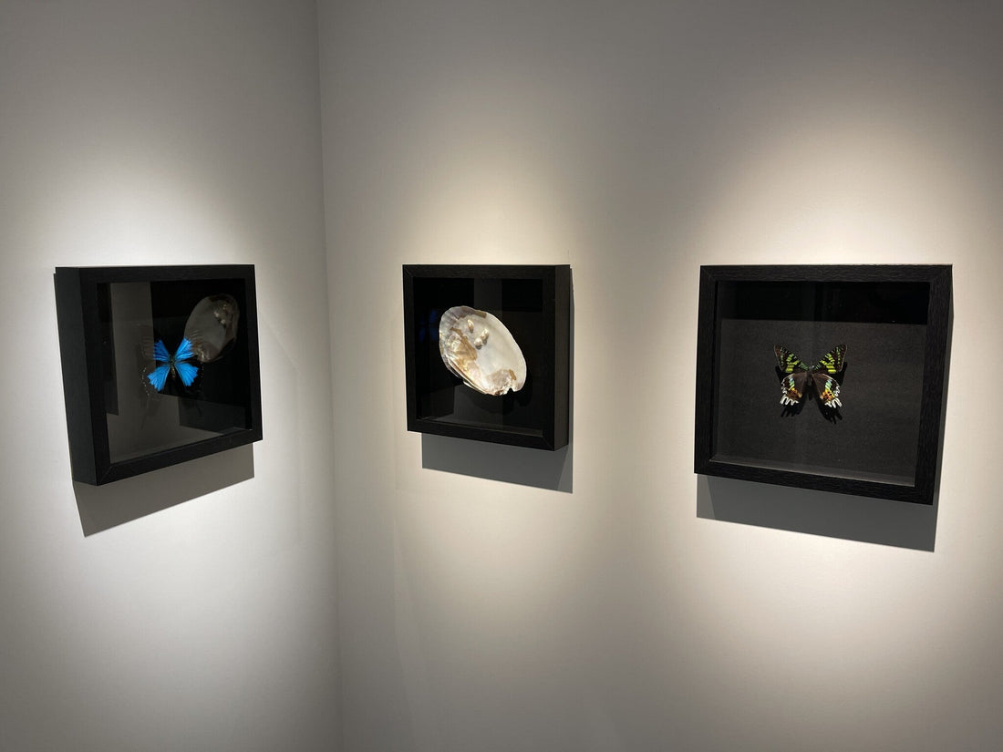kunst uitlichten - gericht licht