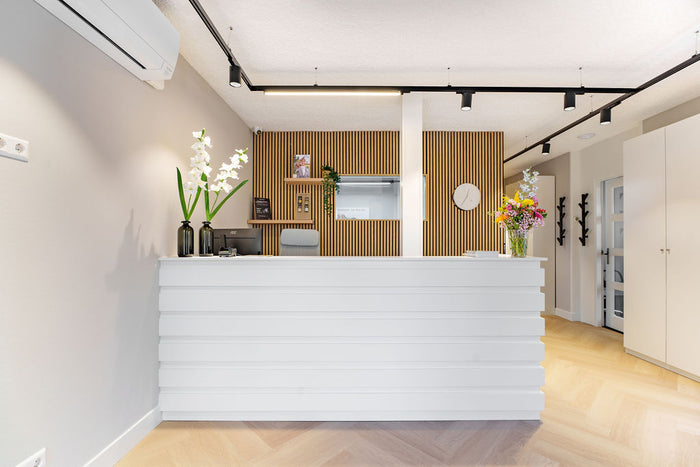 Zwart railverlichting Showroom Nordic Global 3F rail met POLARIS II | LINEA100
