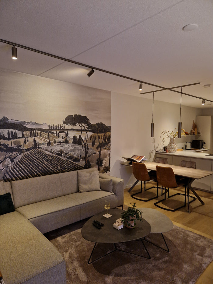 Brons railverlichting Keuken, 
        
          
          Eettafel, 
        
          
          Woonkamer Nordic Global 1F rail met LUXON GU10