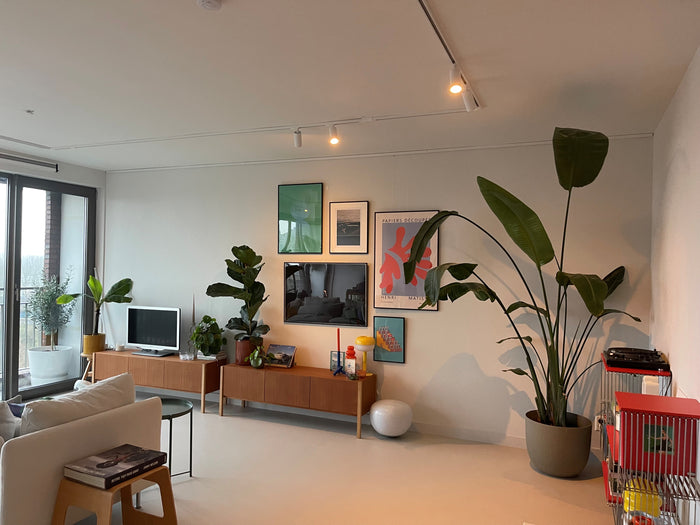 Wit railverlichting Woonkamer Nordic Global 1F rail met LUXON GU10