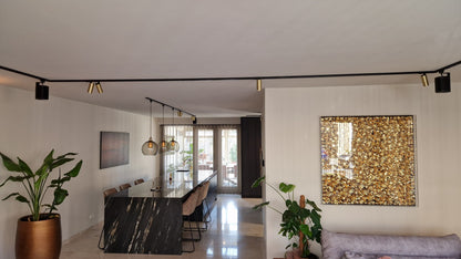 Zwart railsysteem in de woning met meerdere Sonos boxen en railspots