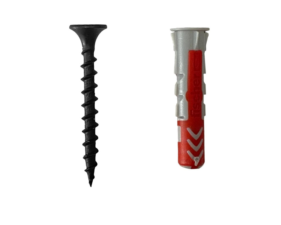 Set 10x zwarte schroef met plug