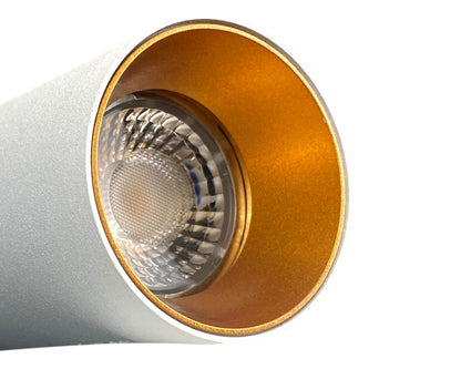 inbouwspot SLIMM-50 Wit/Goud