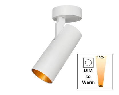 Opbouwspot SLIMM-50 wit/goud
