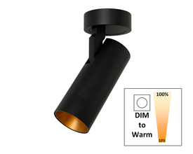 Opbouwspot SLIMM-50 zwart/goud