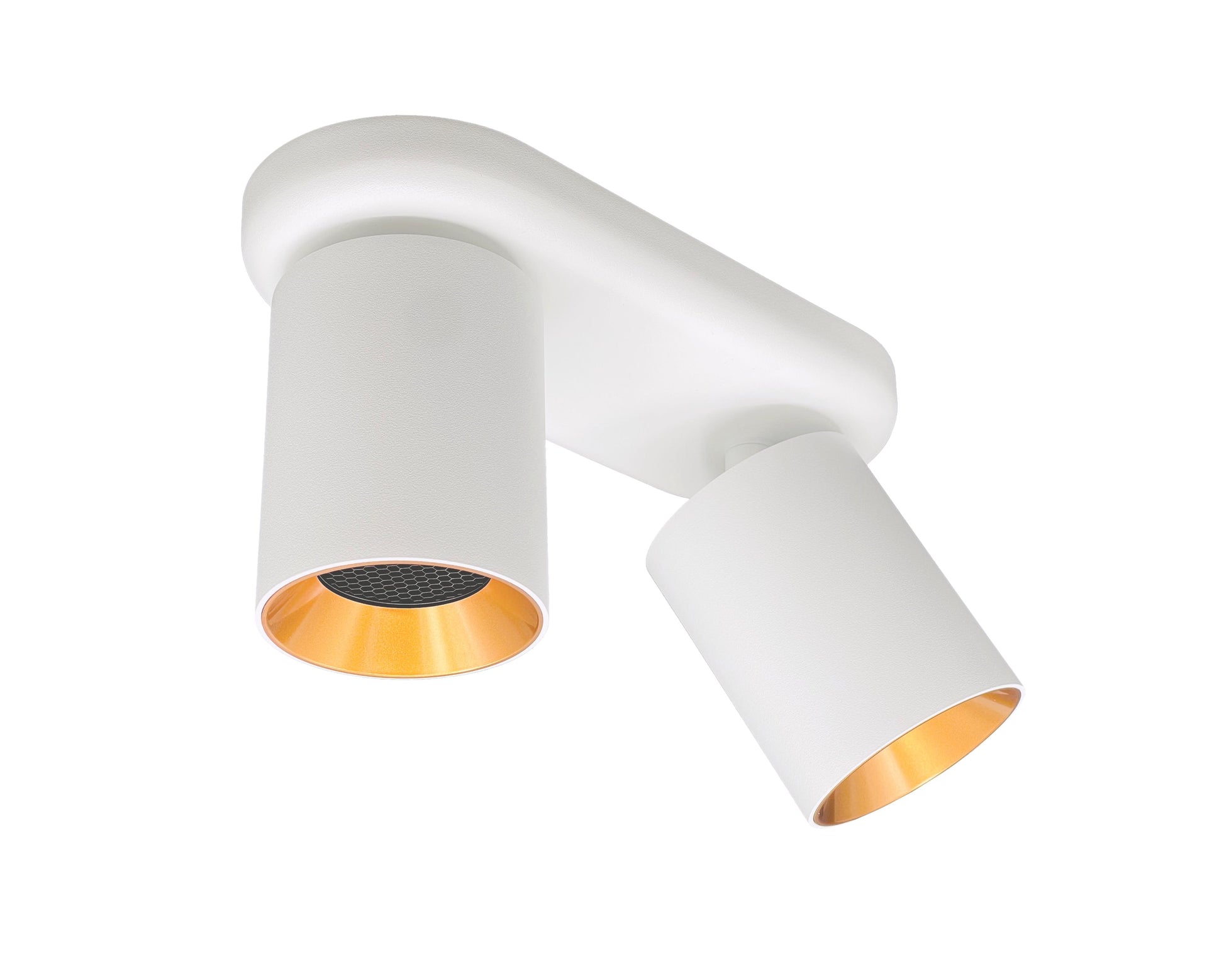 plafondspot wit goud  GU10 fitting dubbel