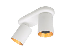 plafondspot wit goud  GU10 fitting dubbel