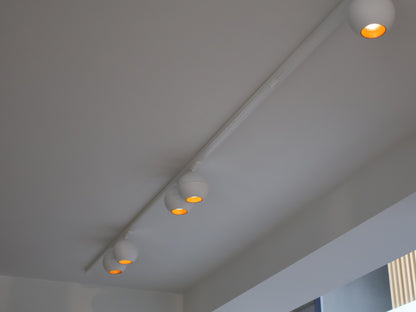 Ronde 1-fase railspots voor Hue verlichting