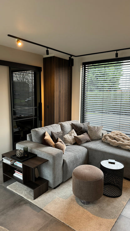 Rail spot verlichting met sonos boxen in de rail