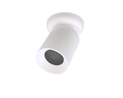 witte plafondspots GU10 fitting